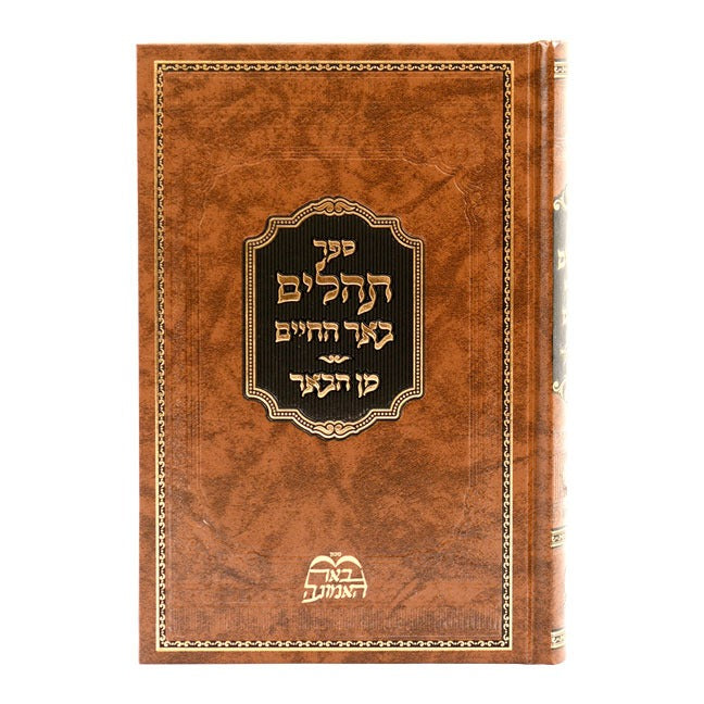 תהילים באר החיים - מן הבאר / ר' אברהם אלימלך בידרמן