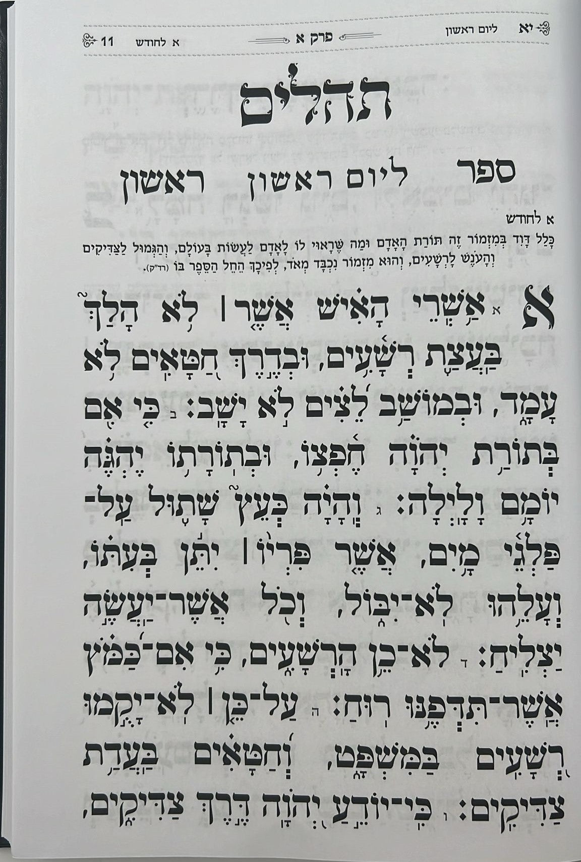 תהילים בינת הלב - דמוי עור צבע תכלת דגם כותל / פורמט ענק