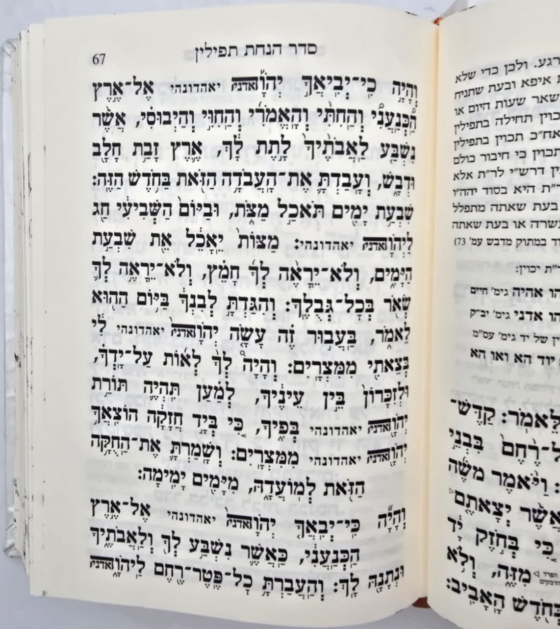 סידור עבודת הקודש עור אמיתי עם פלקטה זהב / צבע לבן