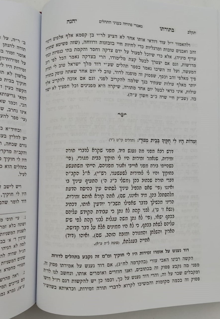 ספר תהילים עם ביאור בתורתו יהגה -חלק א / הגאון הרב דוד פולק שליט"א