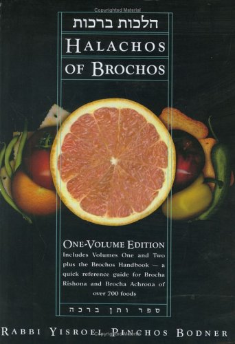 Halachos of Brochos - Rabbi Yisroel Pinchos Bodner
