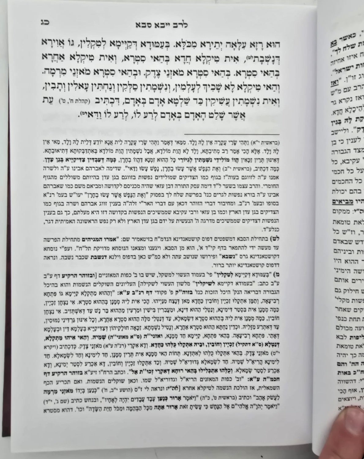 רב ייבא - סבא דמשפטים גלגולי הנשמות / רזין דנשמתין