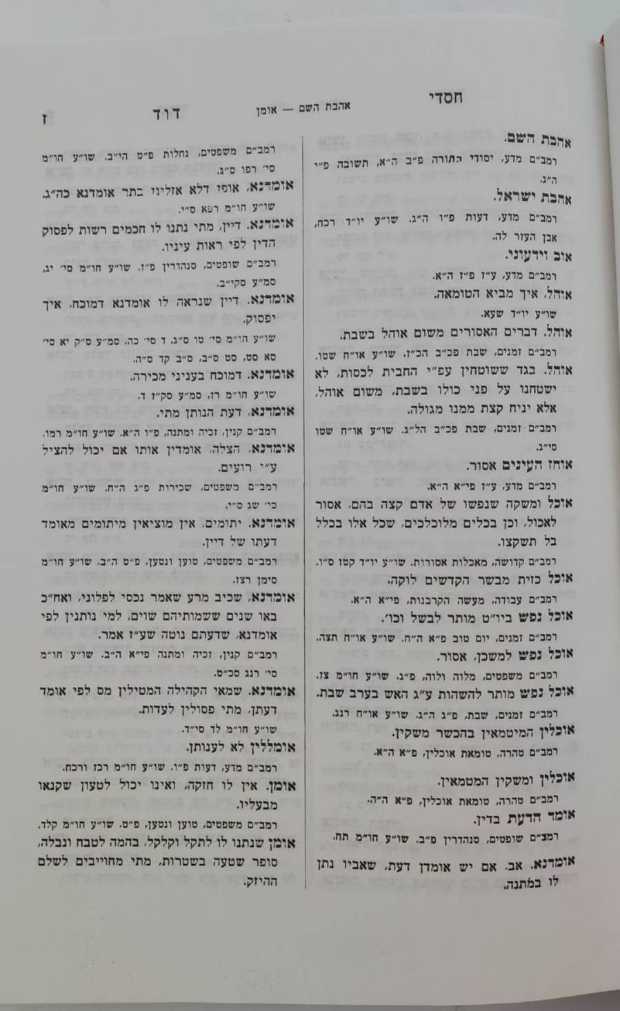 אנציקלופדיה הלכתית - חסדי דוד / על הרמב"ם והשו"ע