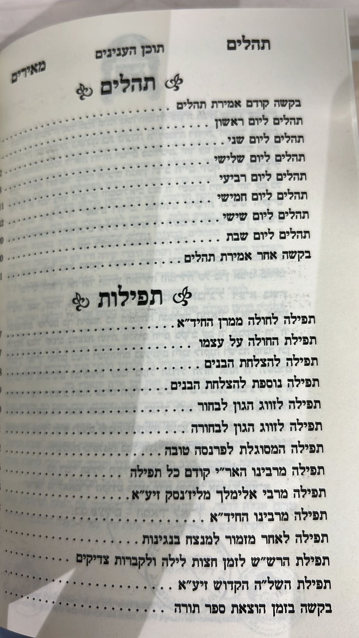 תהילים מאירי"ם - גדול / הרב יורם אברג'ל