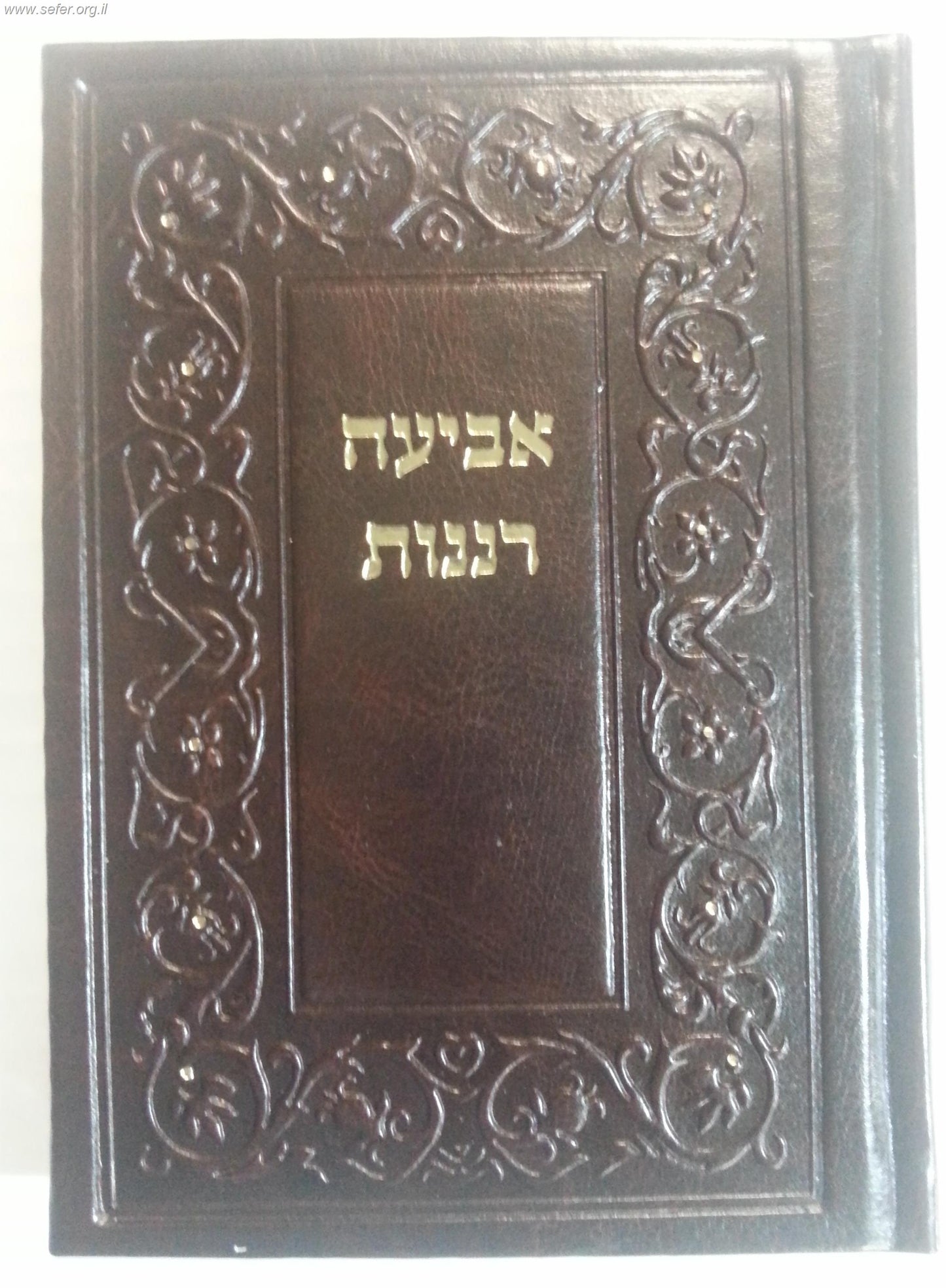 אביעה רננות דמוי עור - שירים ובקשות לשבתות חגים ושמחות