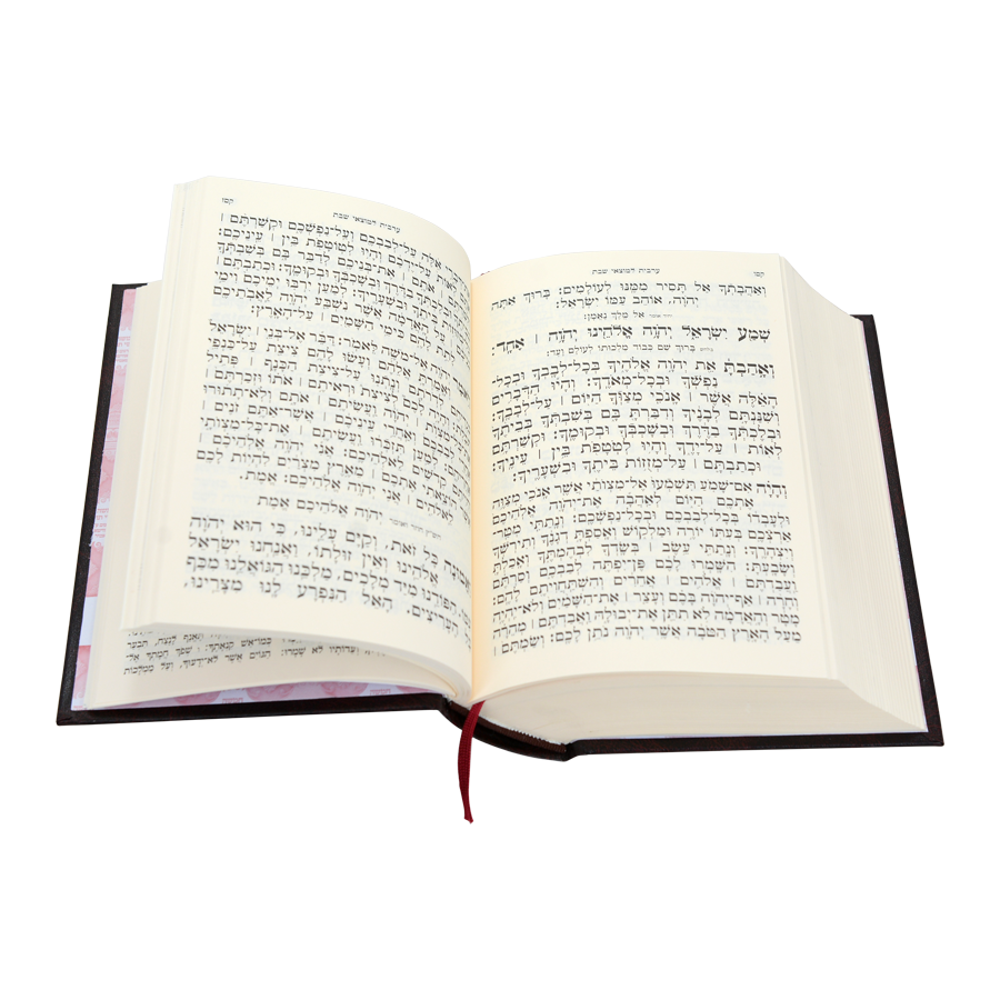 חמשה חומשי תורה מהדורת בית כנסת עם תפילות לשבת - נוסח אשכנז / עוז והדר