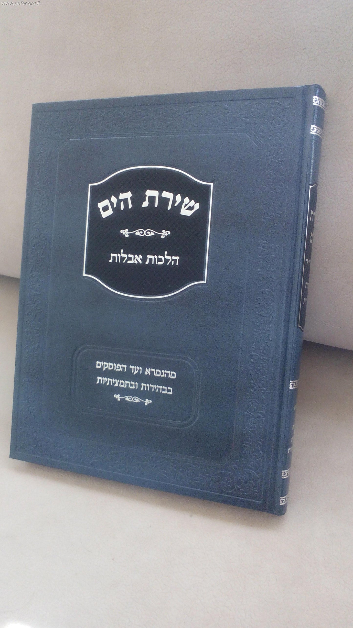 שירת הים - אבלות / הרב הלל מרצבך