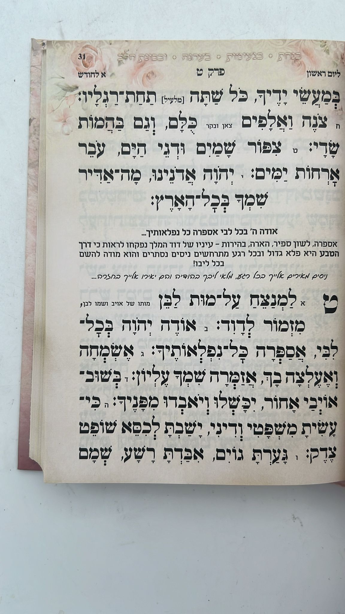 תהילים שירת חיי / הרבנית חגית שירה