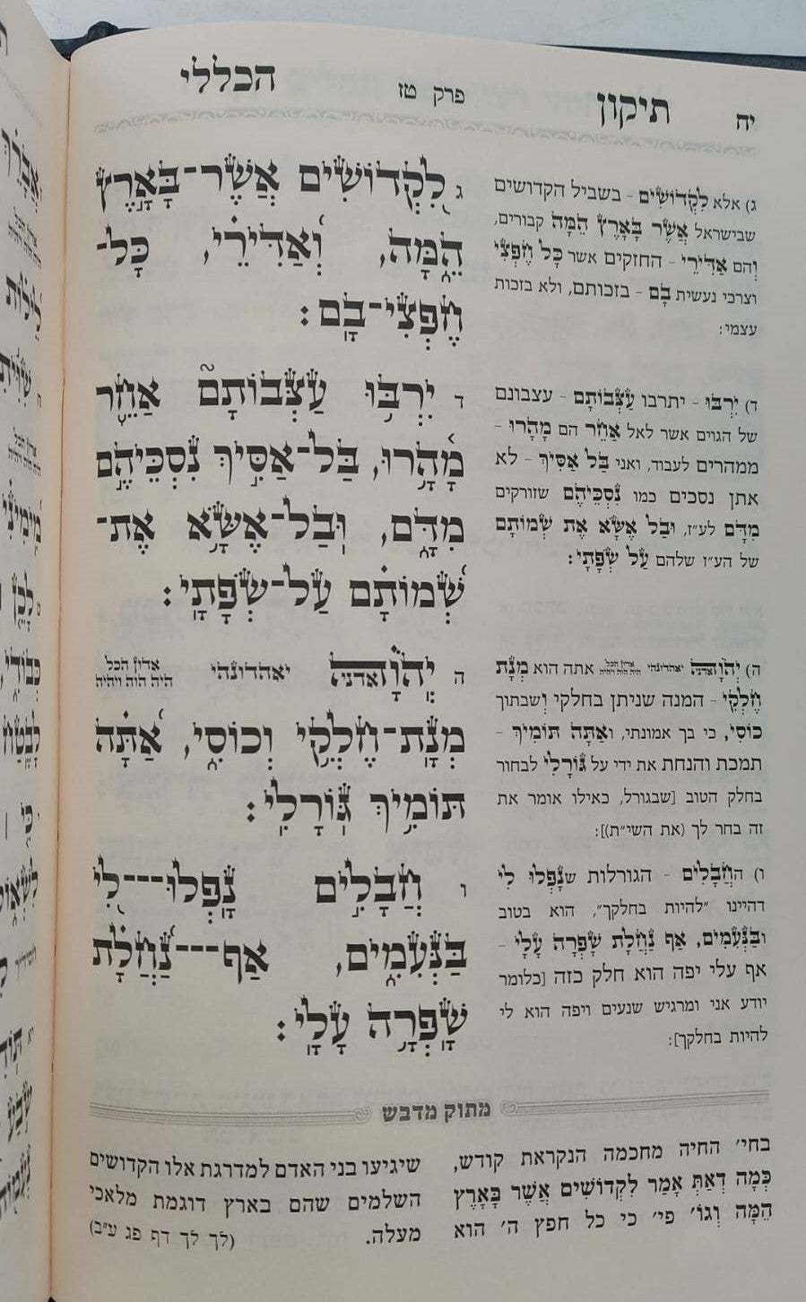 תיקון הכללי מתוק מדבש - פורמט גדול / הרב דניאל פריש זצוק"ל