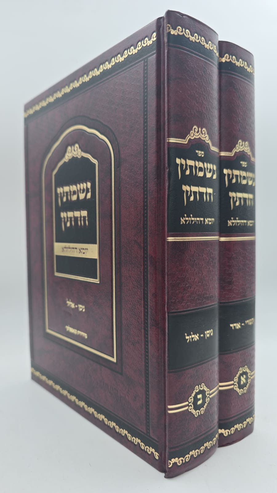 נשמתין חדתין - יומא דהילולא ב' כרכים / הרב י.מ מורגנשטרן