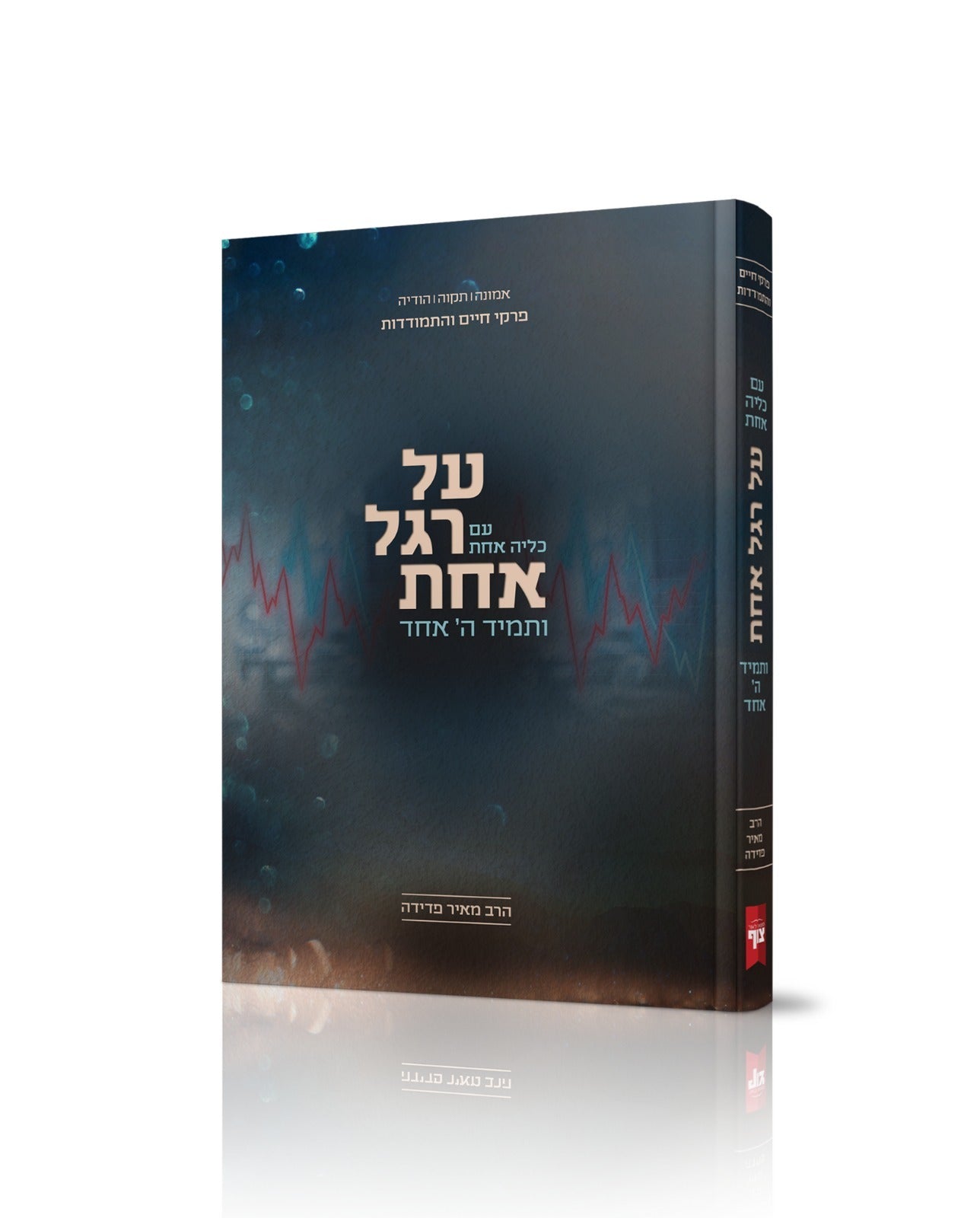 על רגל אחת ותמיד ה' אחד / הרב מאיר פדידה