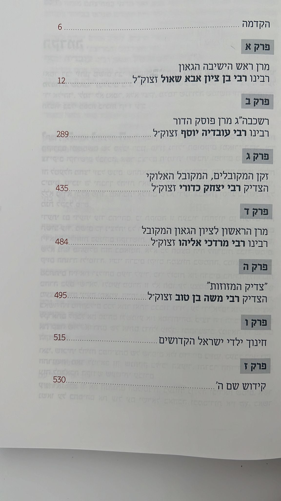 גדולה שימושה - מסע חיי במחיצתם של רבותינו זיע"א / מרדכי חסידים