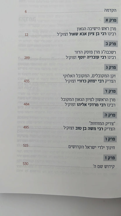 גדולה שימושה - מסע חיי במחיצתם של רבותינו זיע"א / מרדכי חסידים