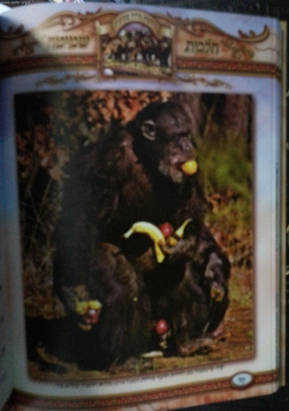 מצוות התלויות בארץ - לאבות ובנים