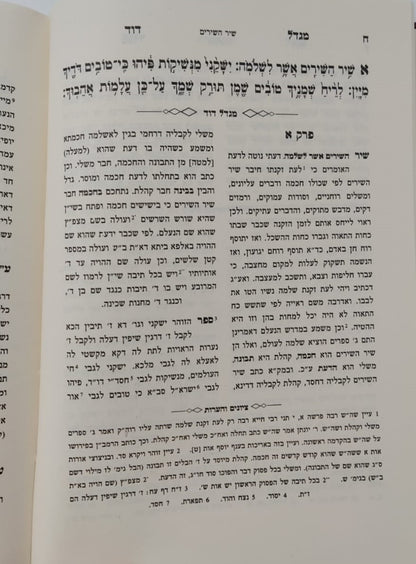 מגדל דוד - פירוש על שיר השירים / המקובל האלקי רבי דוד בן זמרא הרדב"ז זצוק"ל