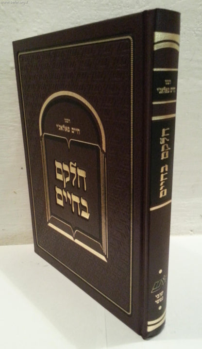 חלקם בחיים-צדקה חיים-צדקה לחיים ג' כרכים / ר' חיים פלאג'י