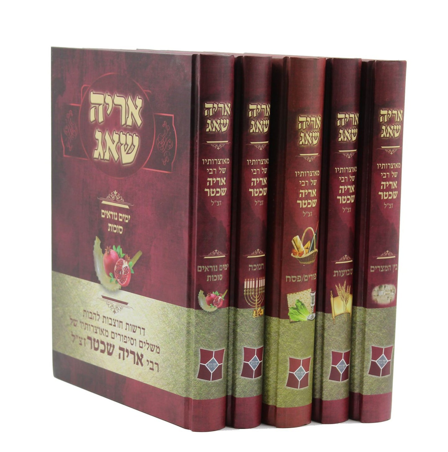 אריה שאג על המועדים סט ה' כרכים / ר' אריה שכטר שליט"א