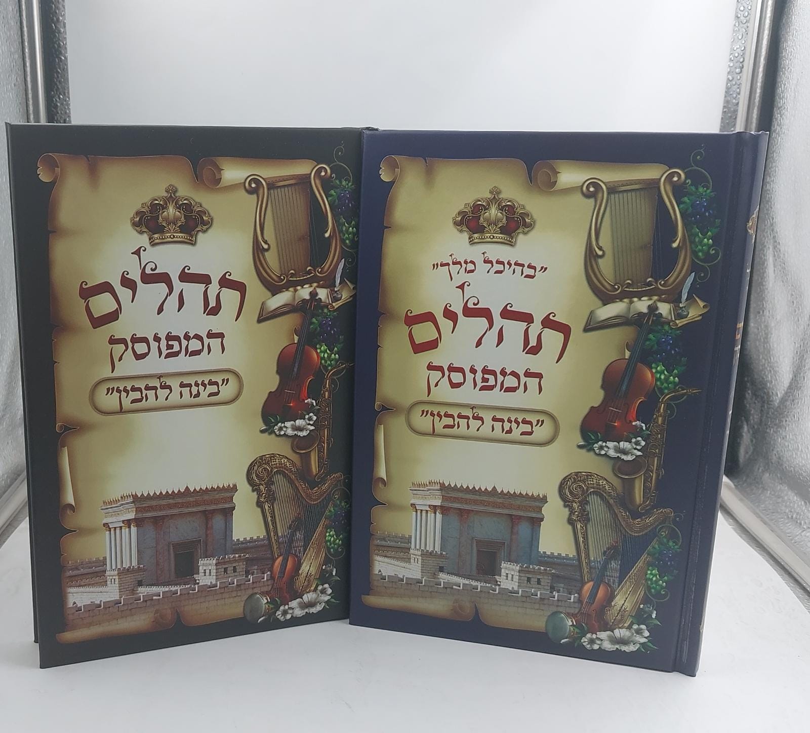 תהילים המפוסק בינה להבין