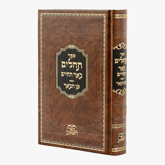 תהילים באר החיים - מן הבאר / ר' אברהם אלימלך בידרמן