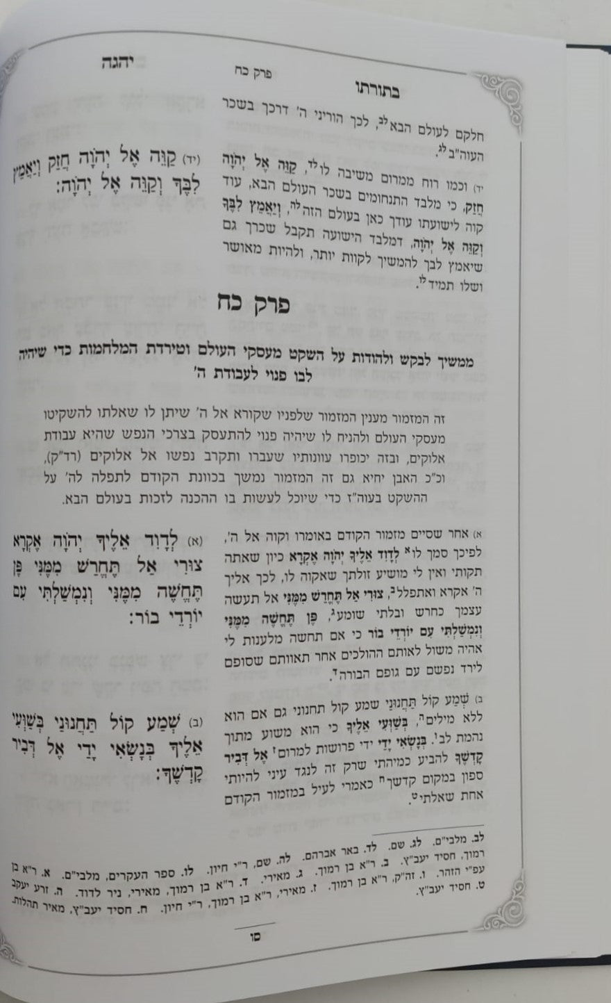 ספר תהילים עם ביאור בתורתו יהגה -חלק א / הגאון הרב דוד פולק שליט"א