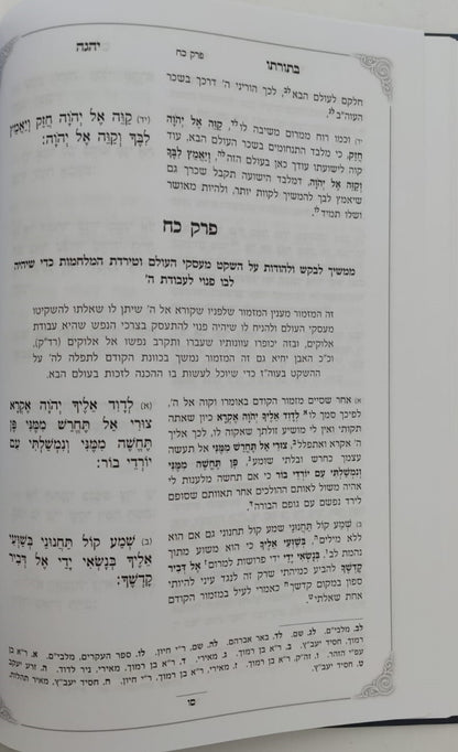 ספר תהילים עם ביאור בתורתו יהגה -חלק א / הגאון הרב דוד פולק שליט"א