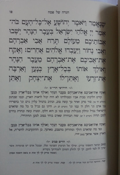 הגדה של פסח - חידושי הרי"מ