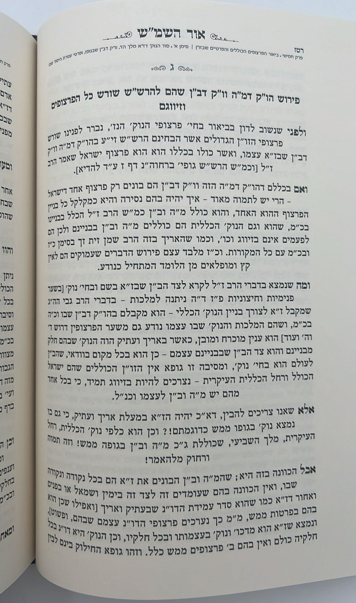 אור השמ"ש - הבנת עיקרי יסודות תורתו דרבינו הרש"ש זיע"א