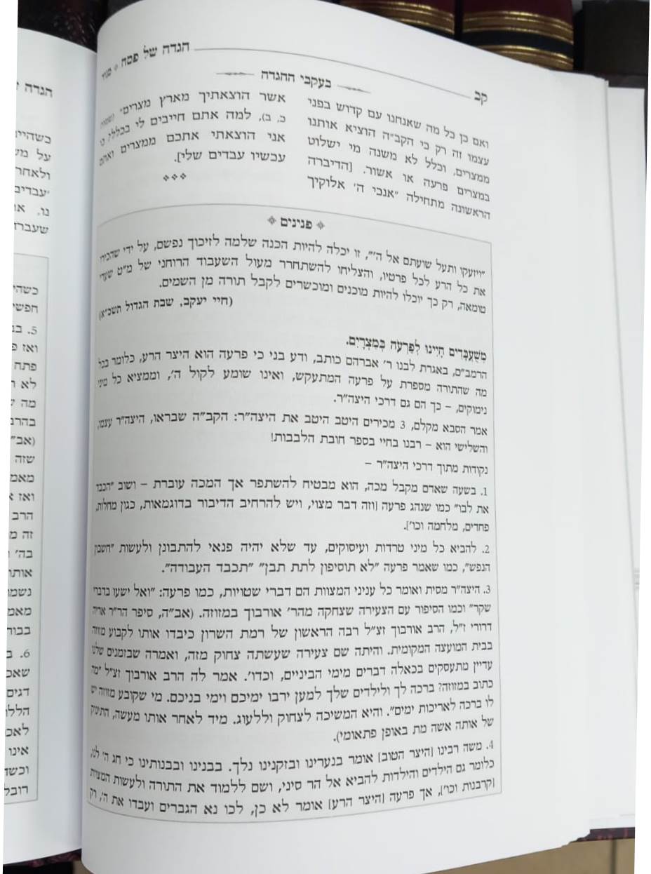 בעקבי ההגדה - הגדה של פסח / מרבינו הגאון רבי יעקב אדלשטיין זצוק"ל