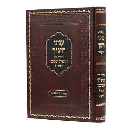 עניני חינוך - מתורת מרן הגראי"ל שטינמן זצוק"ל / מזקנים אתבונן