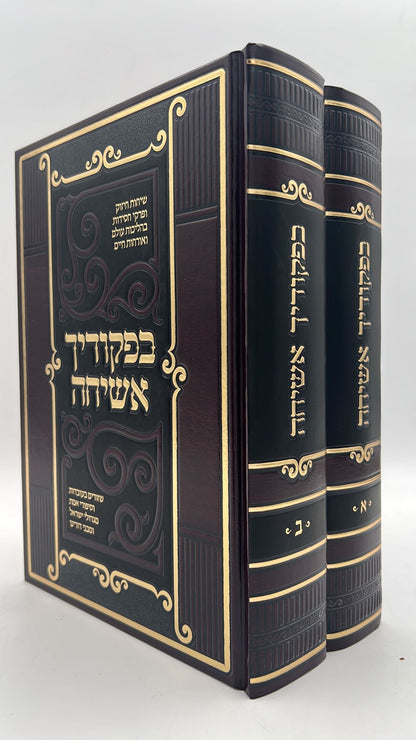 בפקודיך אשיחה ב' כרכים - שיחות חיזוק / הרב משה מנחם טויבנפעלד