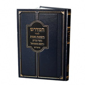 המדרש לאור השפת אמת, הפרי צדיק, והשם משמואל - על המועדים / הרב ראובן רז