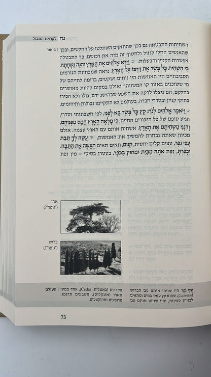 התנ"ך המבואר - על חמישה חומשי תורה ה' כרכים פורמט קטן כריכה רכה / הרב עדין שטיינזלץ זצ"ל
