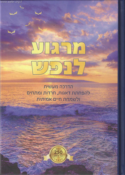 מרגוע לנפש - הדרכה מעשית להפחתת דאגות, חרדות ומתחים ולשמחת חיים אמיתית