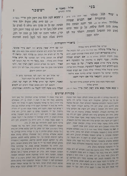 בני יששכר לרבי צבי אלימלך מדינוב זצוק"ל - ביאור משולב / שבתות וראש חודש (כרך א')