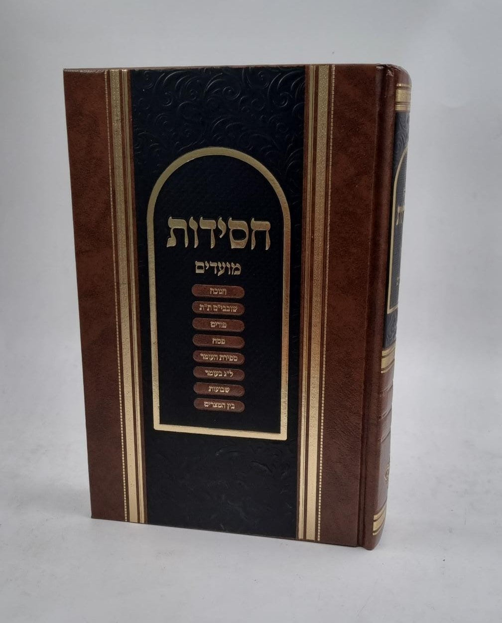 קונטרסי החסידות - מועדים ב'