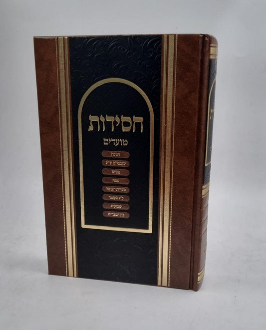 קונטרסי החסידות - מועדים ב'