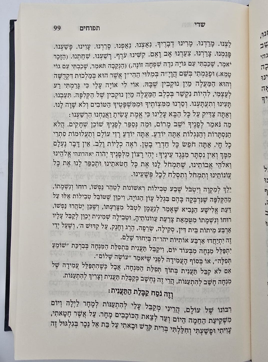 שדי תפוחים המסודר א-ב / תיקונים ותפילות