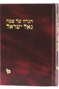 הגדה של פסח גאל ישראל / רבי ישראל זאב הורוביץ זצ"ל