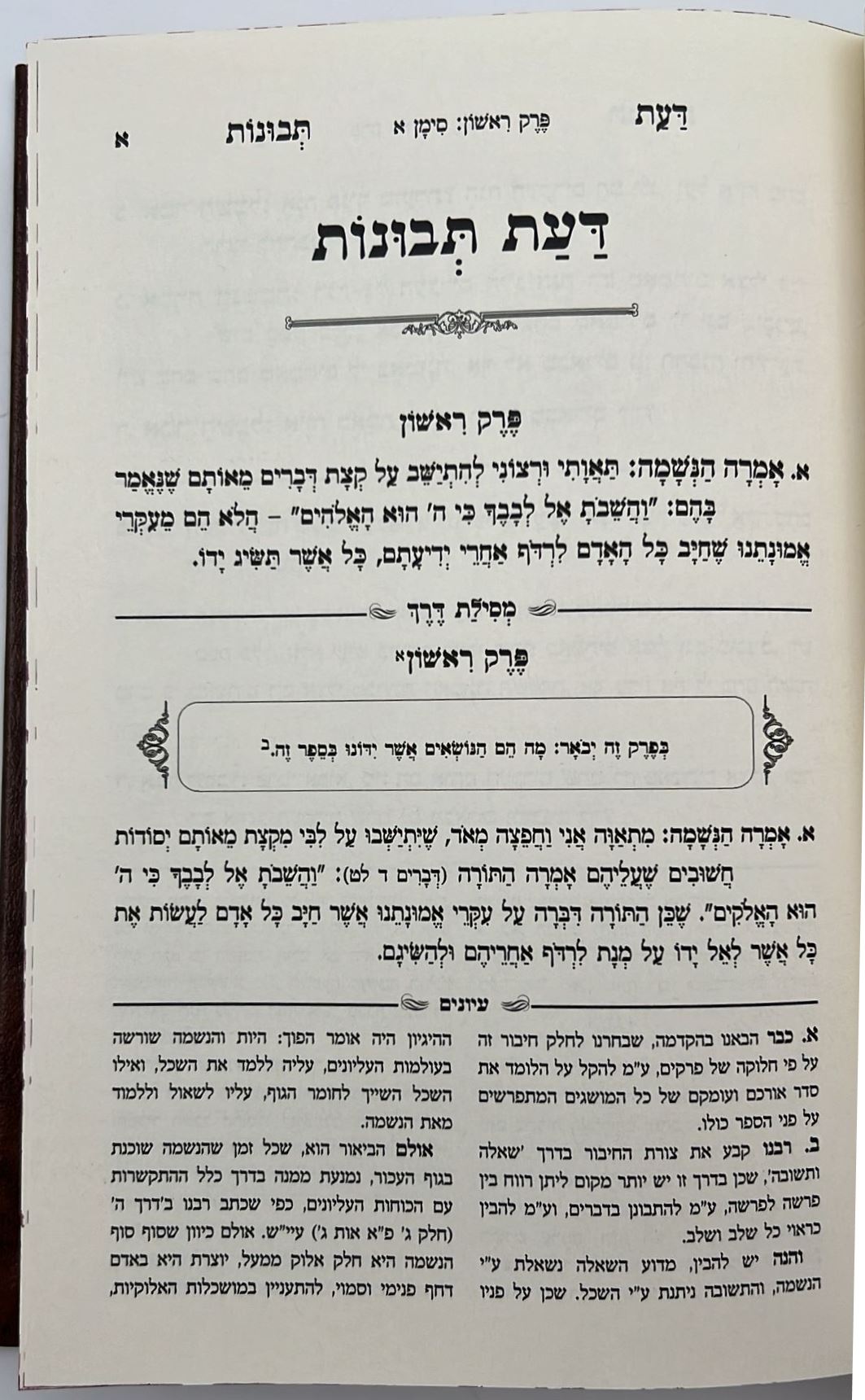 דעת תבונות לרמח"ל המבואר - עם ביאור מסילת דרך