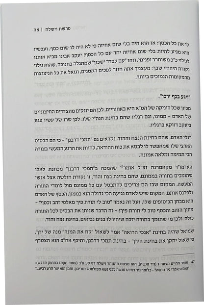 הניגון הפנימי בפרשה / הרב אליהו עובדיה שליט"א