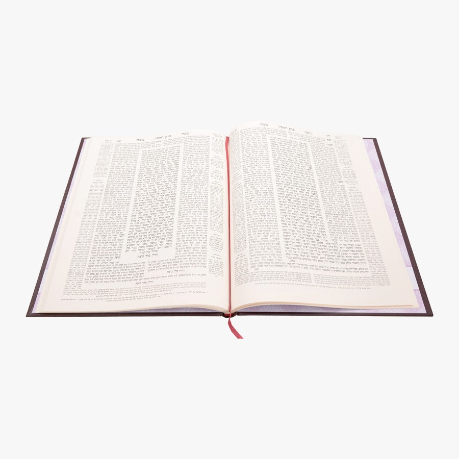 תלמוד בבלי עוז והדר תלמידים (בורדו) בלי מפרשים - מסכת ביצה