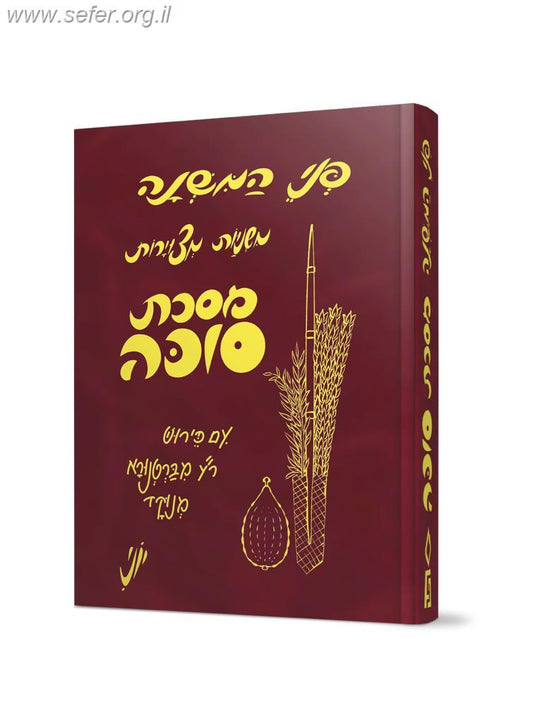 משניות מצויירות - מסכת סוכה / פני המשנה