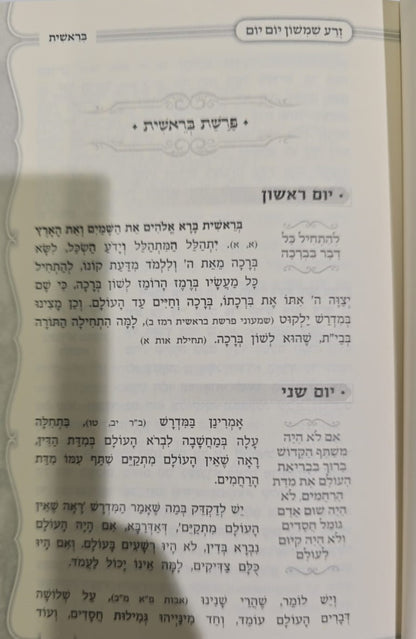 זרע שמשון - יום יום