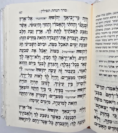 סידור עבודת הקודש עור אמיתי עם פלקטה זהב / צבע לבן