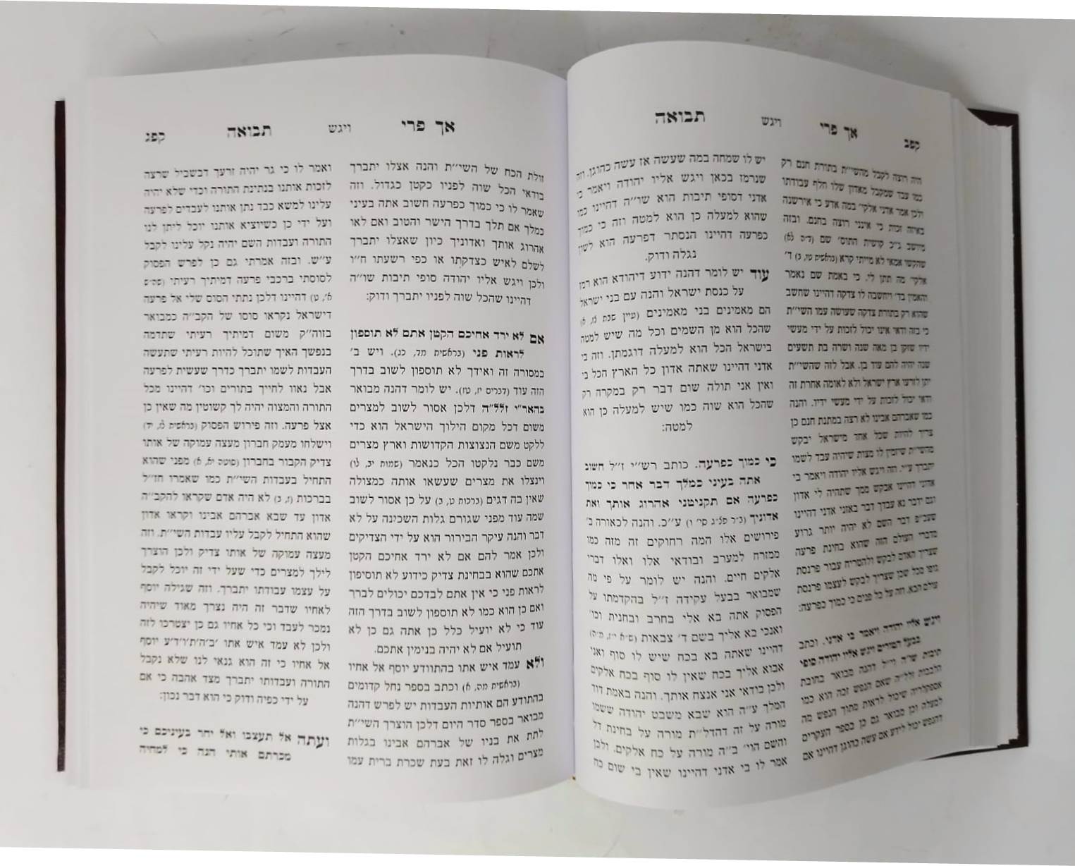 אך פרי תבואה - בראשית שמות חלק א' / לרבי צבי הירש פרידמן האדמו"ר מליסקא זצוק"ל