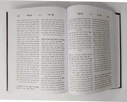 אך פרי תבואה - בראשית שמות חלק א' / לרבי צבי הירש פרידמן האדמו"ר מליסקא זצוק"ל