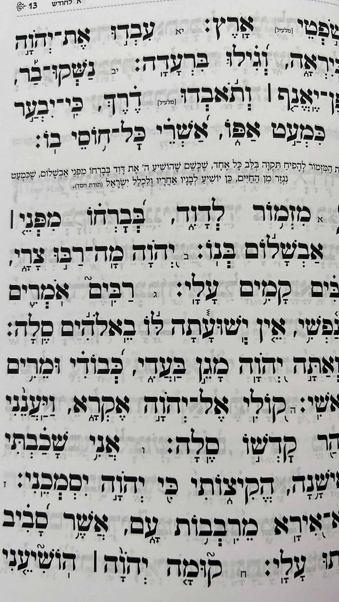 תהילים בינת הלב - בצבע לבן מסגרת זהב / פורמט בינוני