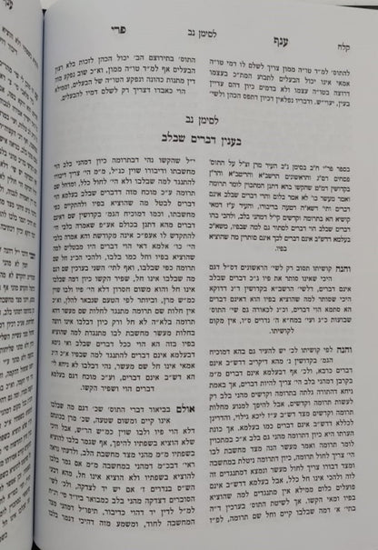 שו"ת פרי יצחק סט ב' כרכים / הגאון רבי יצחק בלאזר זצ"ל