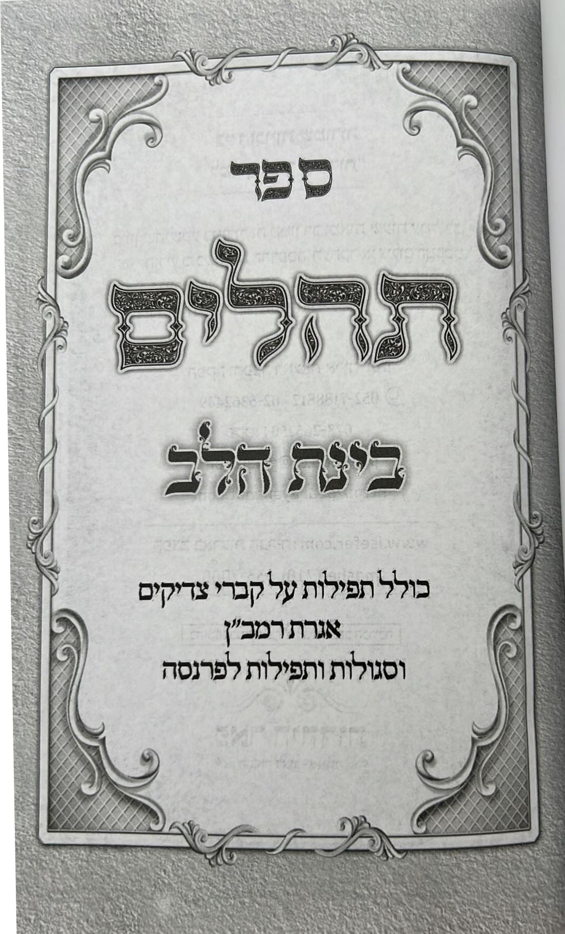 תהילים בינת הלב - כריכת סקאי ורוד / פורמט בינוני