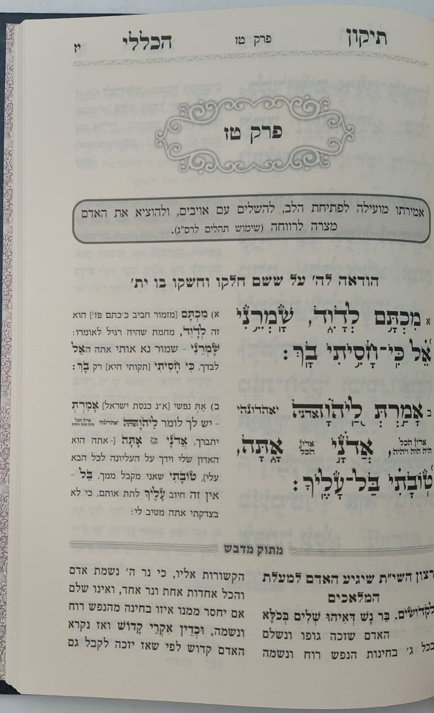 תיקון הכללי מתוק מדבש - פורמט גדול / הרב דניאל פריש זצוק"ל